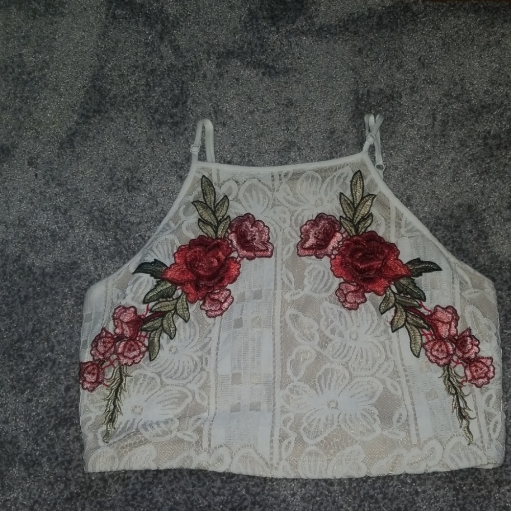 Lulus embroidered crop top